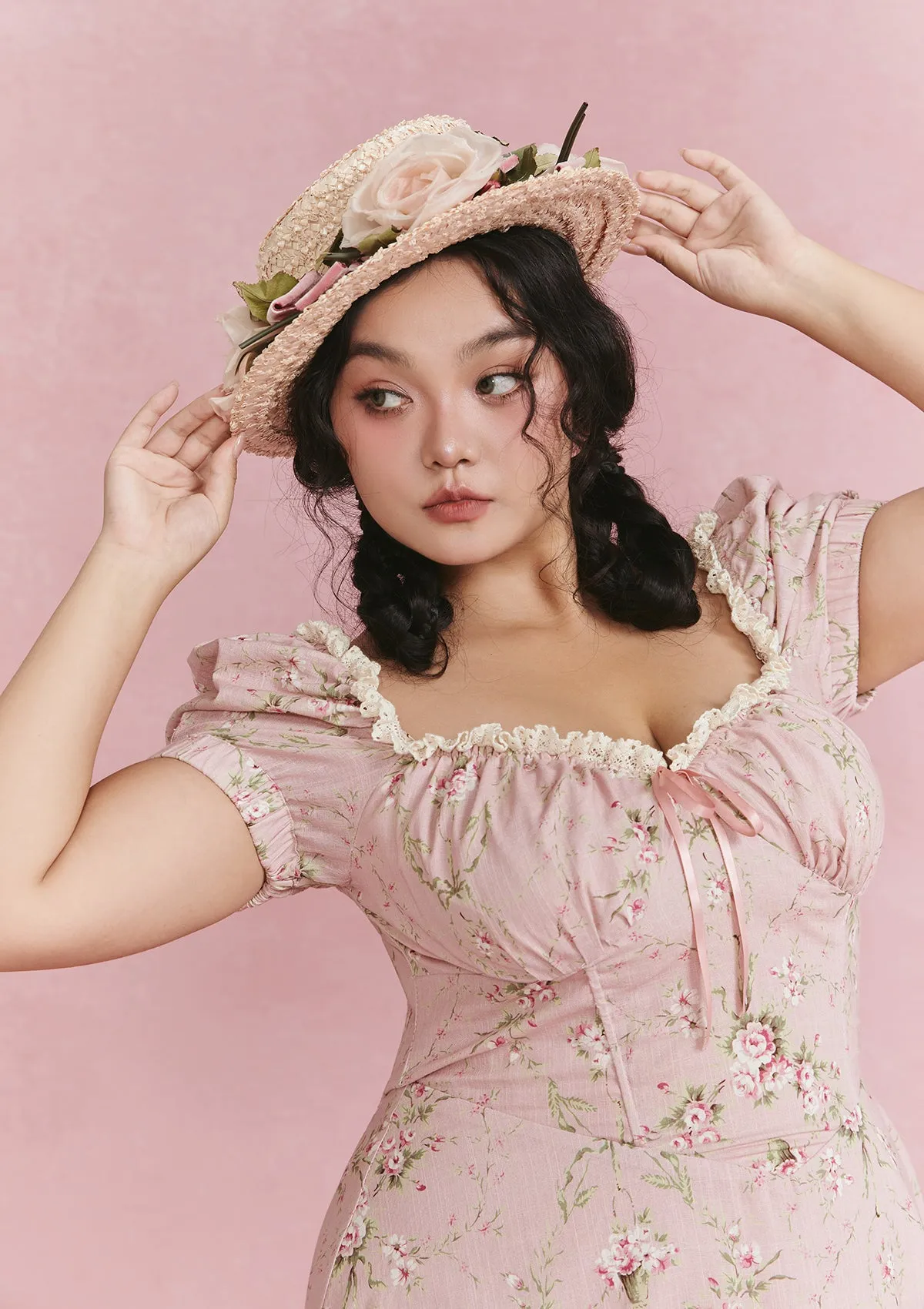 Curve & Plus Rosa Rubus Story Corset Dress