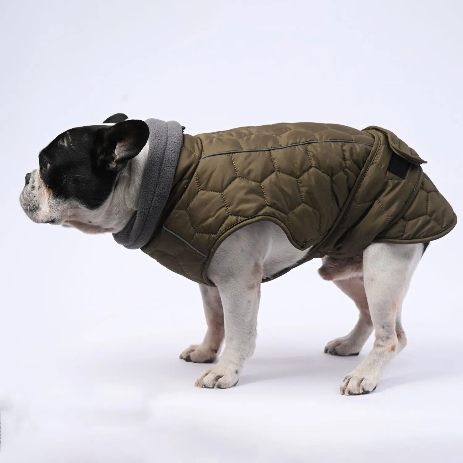 IceShield Frenchie Winter Snowsuit with Reflective Design