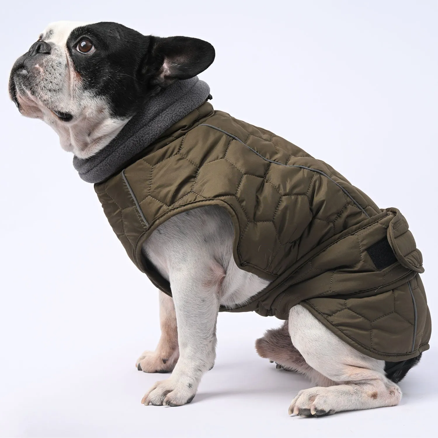 IceShield Frenchie Winter Snowsuit with Reflective Design