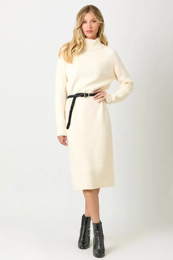 Turtle Neck Sweater Dress Ivory