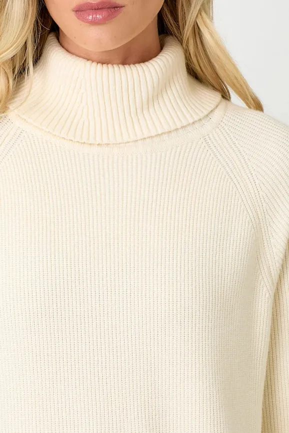 Turtle Neck Sweater Dress Ivory